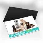 Magnet card sample